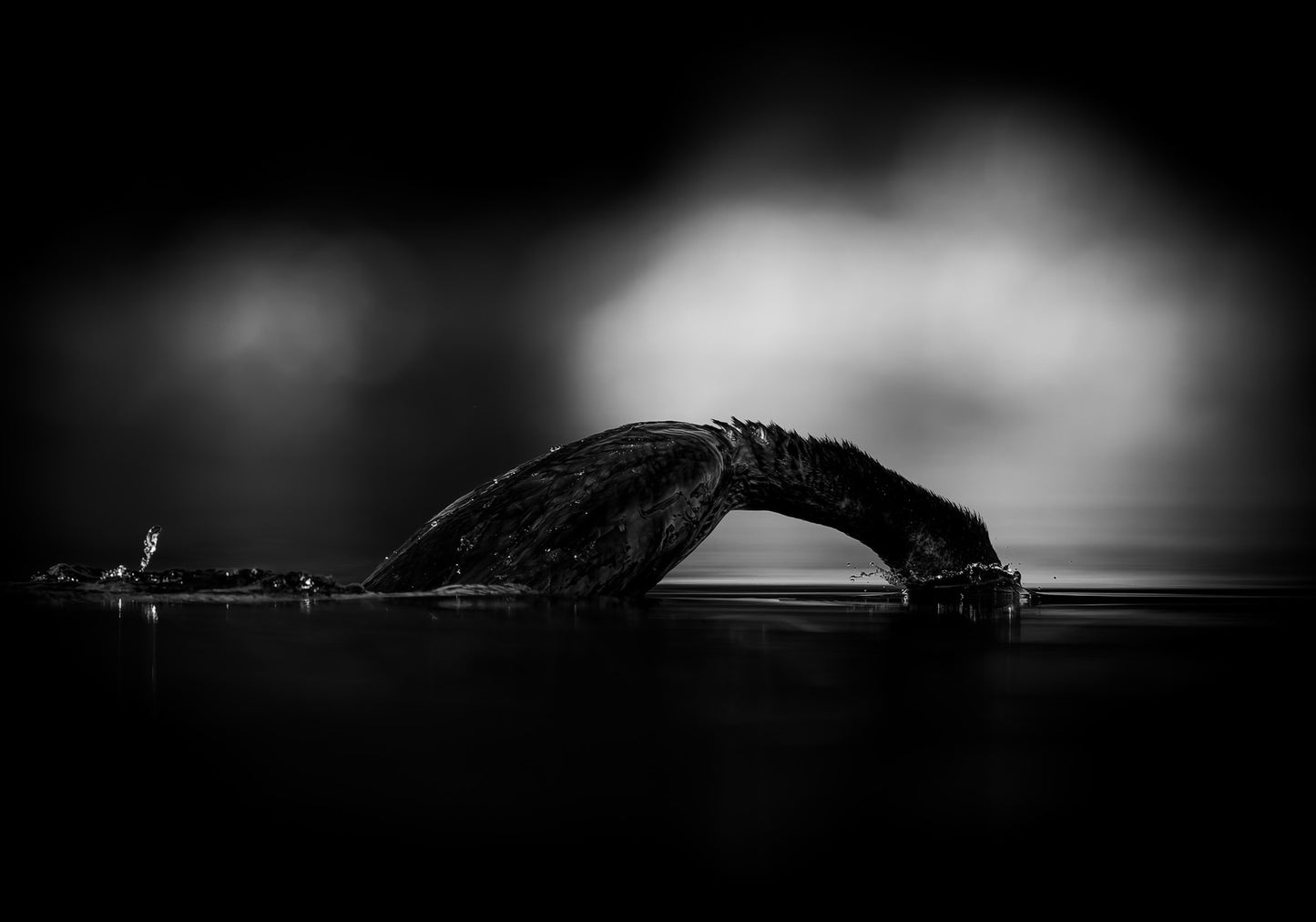 Vanishing Act - other