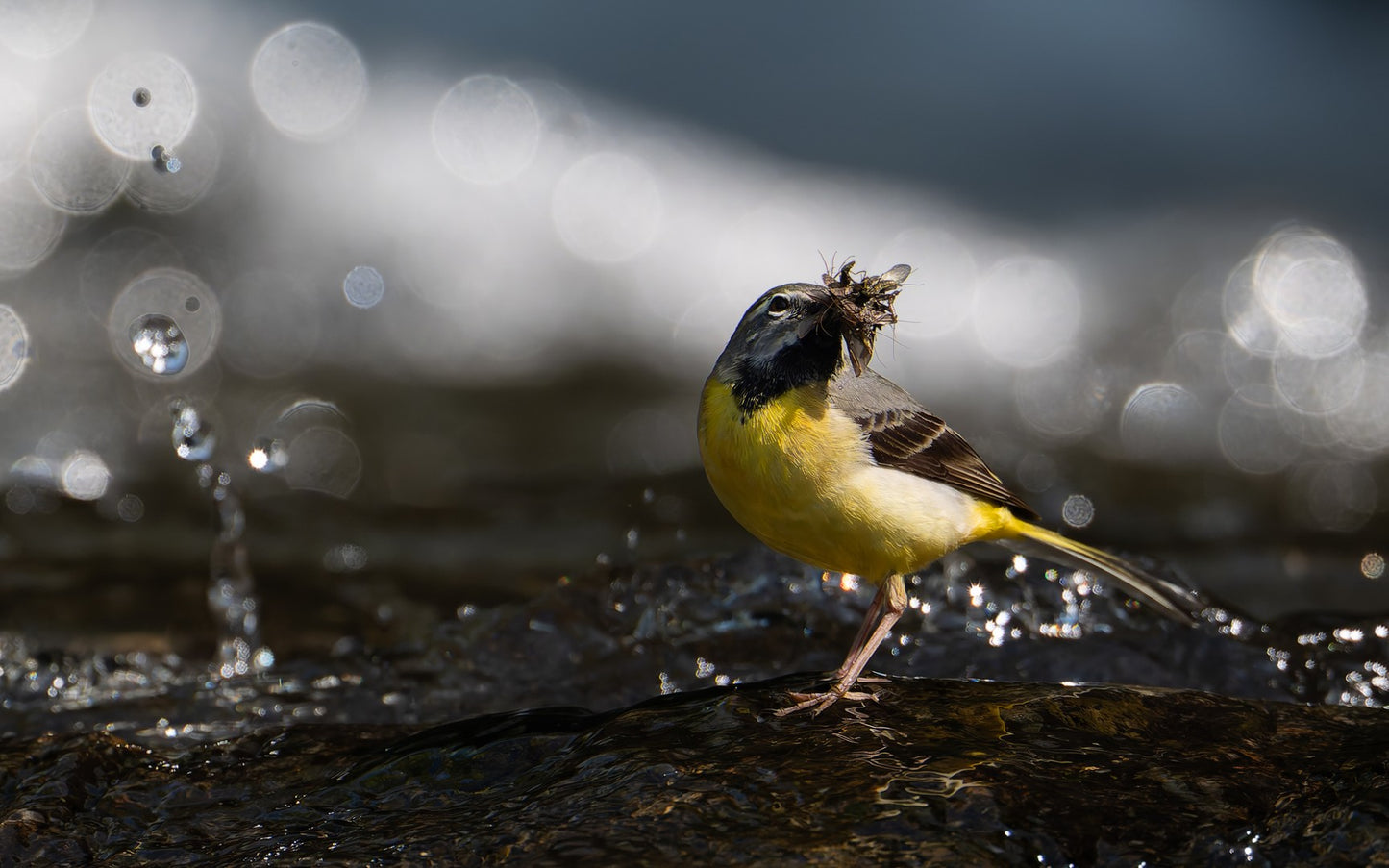 Food for the children