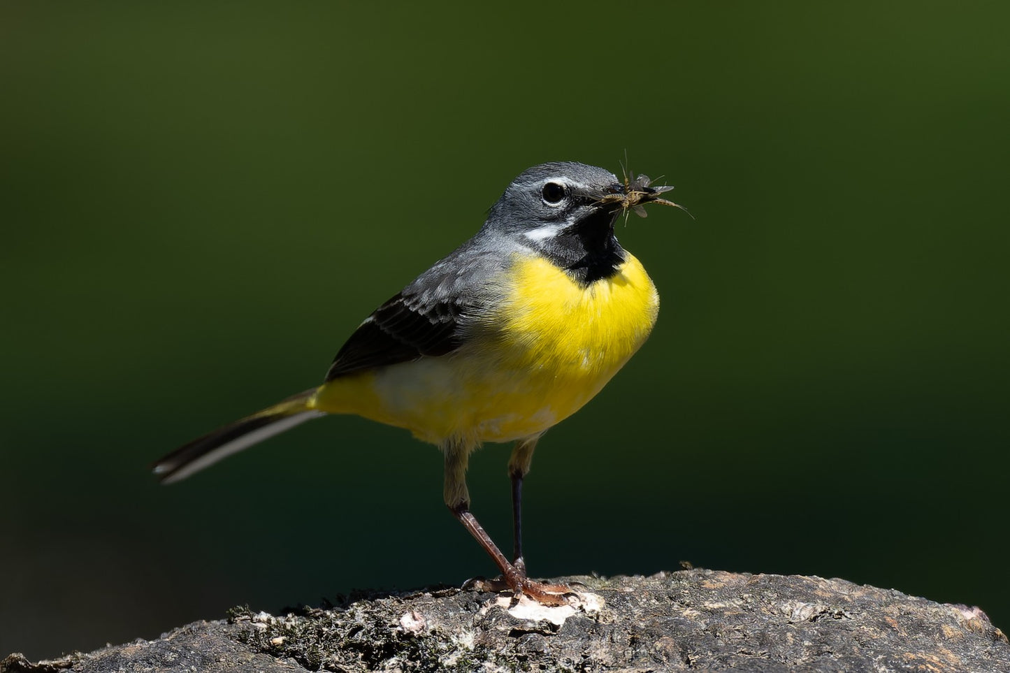 Resting before eating