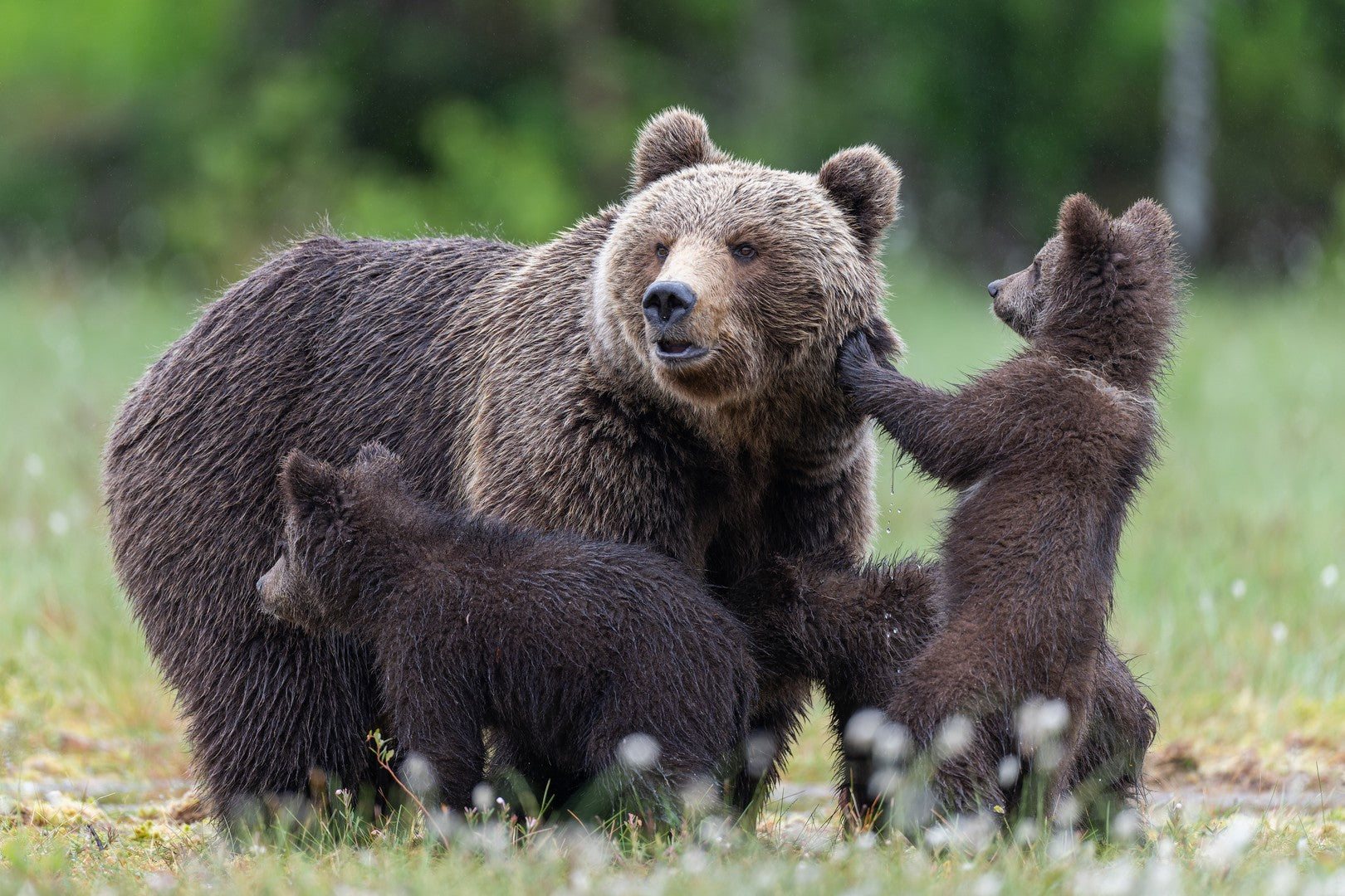 Keep watching children