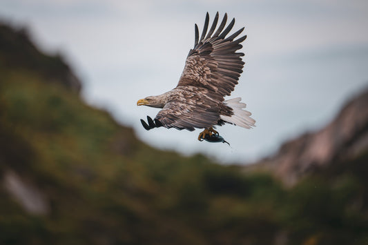 Valley catch