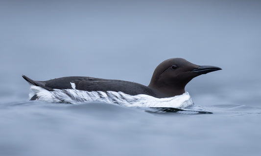 Silent swimming